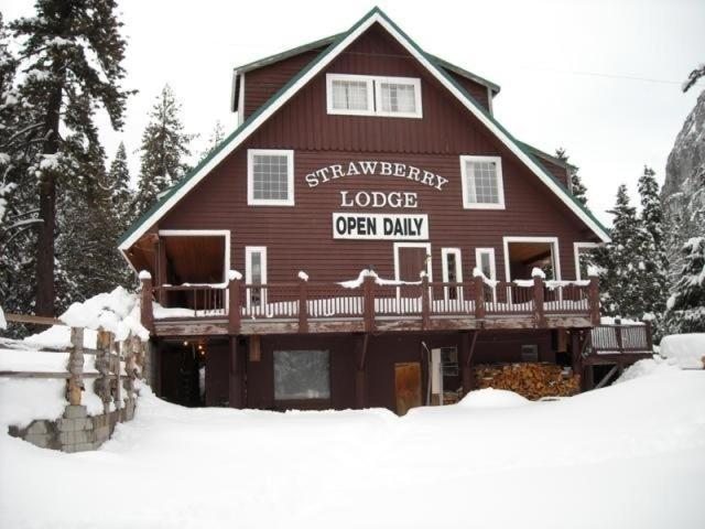 Strawberry Lodge Upper Forni Exteriér fotografie